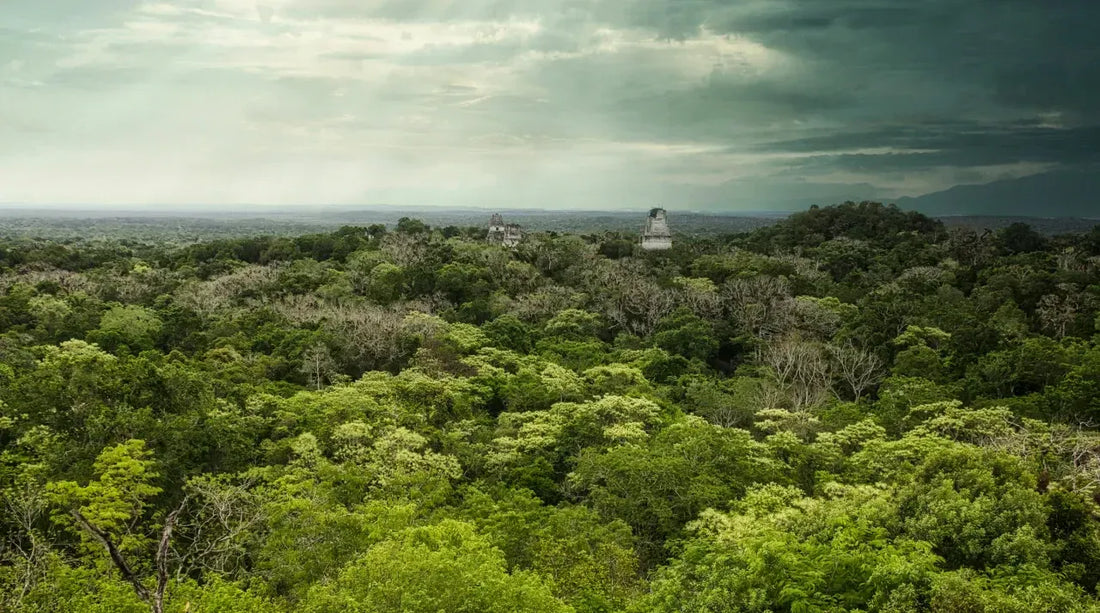 The 7 Best Mayan Ruins to Visit in Guatemala